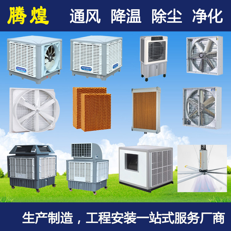 降溫通風(fēng)解決方案佛山畜牧養(yǎng)殖豬場