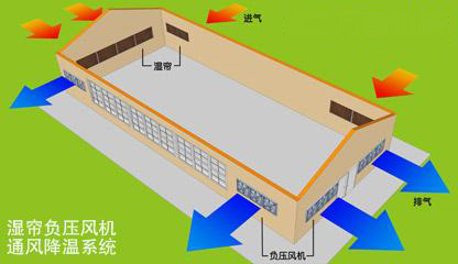 換氣通風(fēng)系統(tǒng)揭陽(yáng)畜牧養(yǎng)殖豬場(chǎng) 通風(fēng)散熱系統(tǒng)揭陽(yáng)畜牧養(yǎng)殖豬場(chǎng)