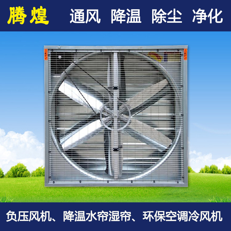 排風(fēng)降溫解決方案揭陽畜牧養(yǎng)殖豬場