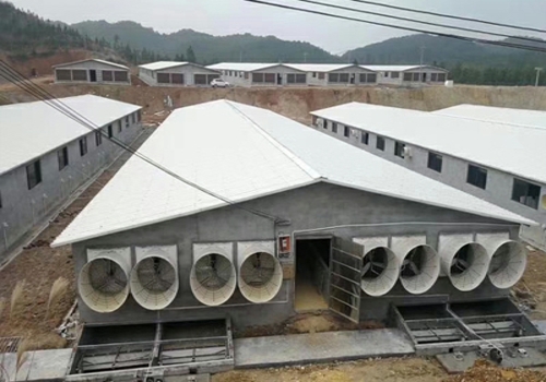 換氣通風(fēng)方法辦法佛山畜牧養(yǎng)殖豬場  免費(fèi)設(shè)計(jì)2-3套通風(fēng)降溫方案